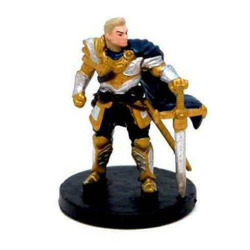 Human Paladin - Tyranny of Dragons  - 8/45